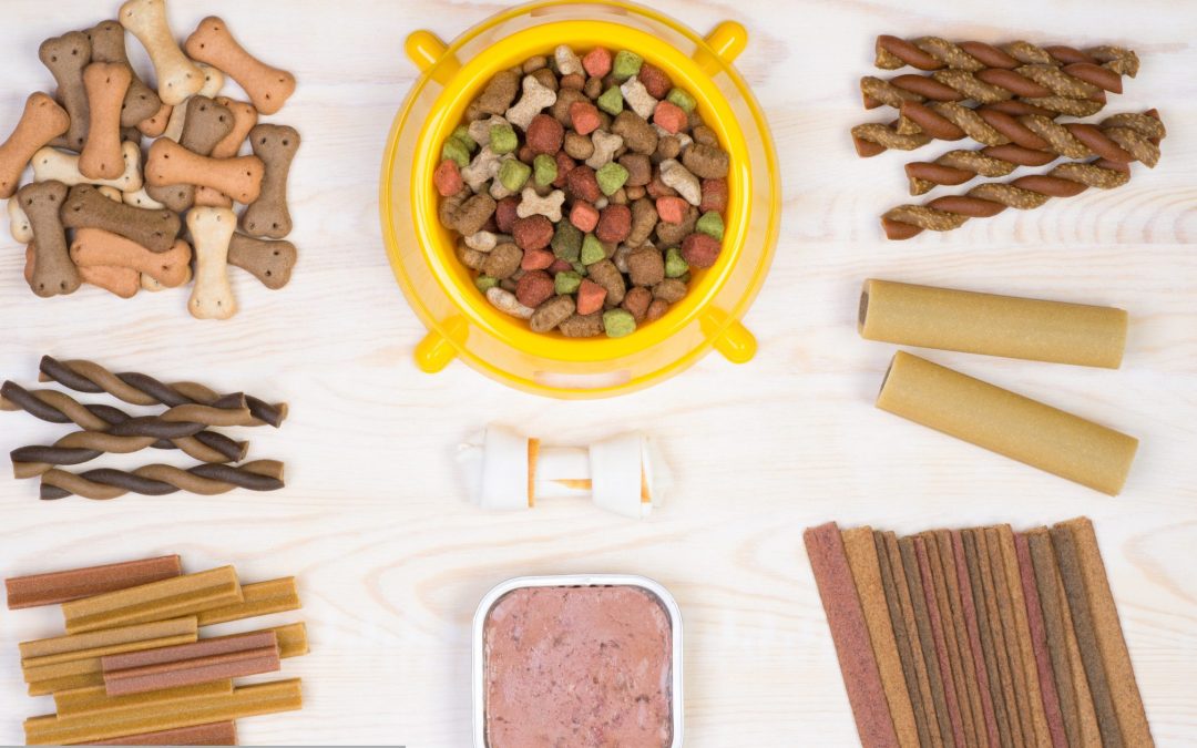 Pet Food Registration in the UAE: A Complete Guide for Manufacturers and Importers